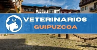 veterinario urgencias guipuzcoa