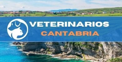 Veterinarios Cantabria