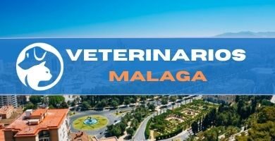 Veterinarios urgencias Málaga