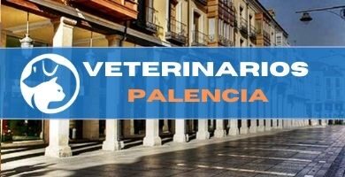 Veterinario urgencias Palencia