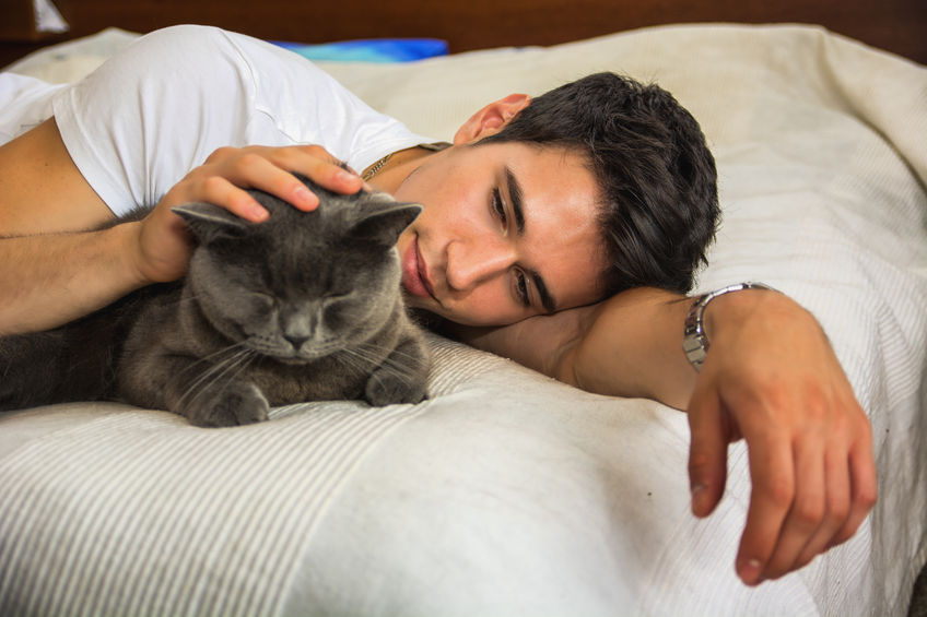 Seis señales sutiles de que tu gato te ama
