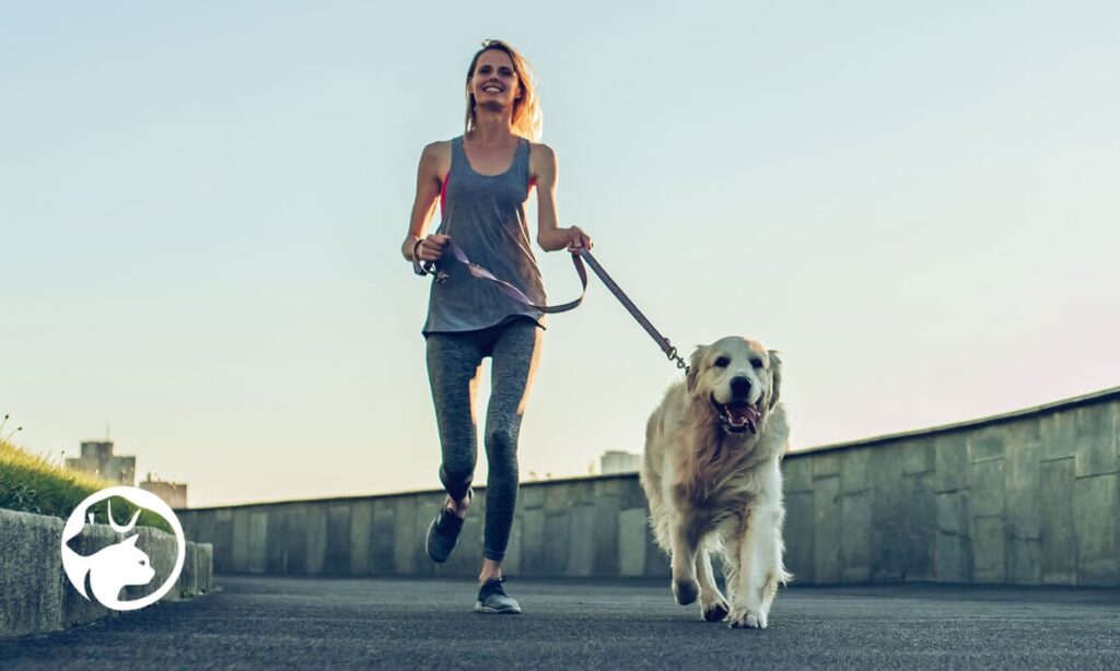 Hacer ejercicio con tu perro