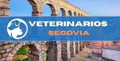 Veterinario urgencias Segovia