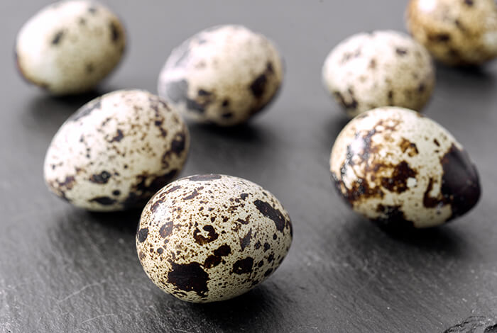 ¿Los perros pueden comer huevos de codorniz?